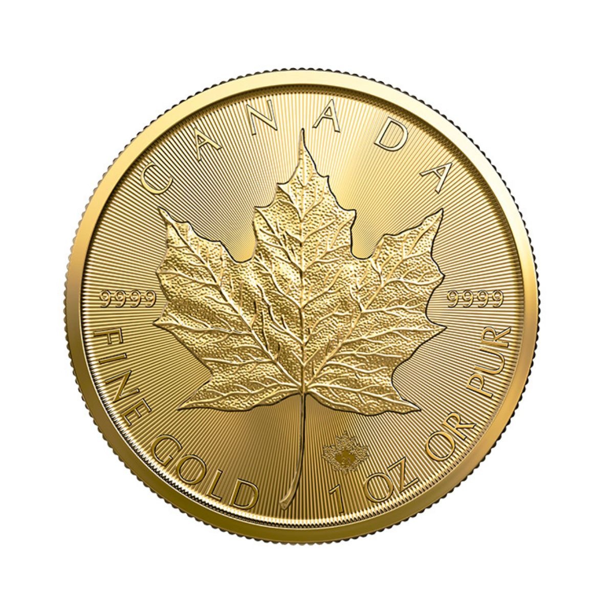 加拿大2025楓葉99.99% 金幣1盎司(0.831兩) - Uniprecious